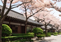 韩国留学：公立大学和私立大学有何区别？