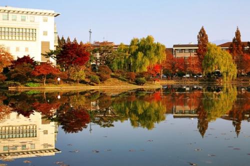 韩国国立大学排名