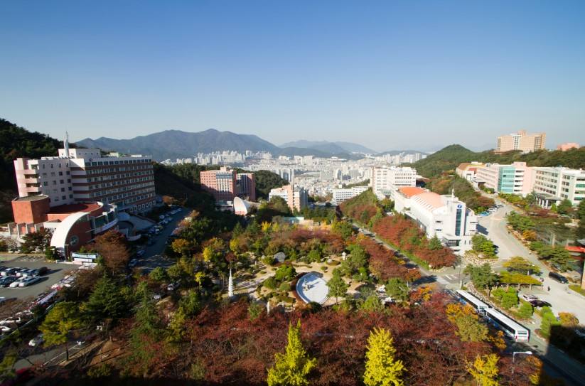 韩国留学专业推荐