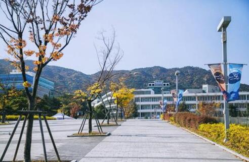 釜山大学申请条件